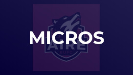 Micros