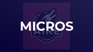 Micros
