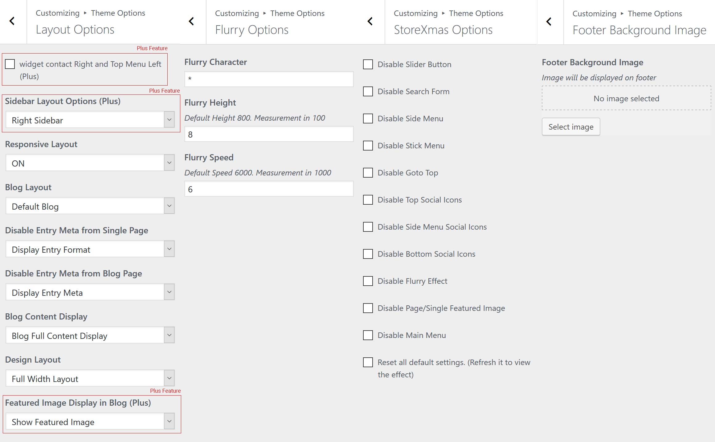 StoreXmas Theme Options